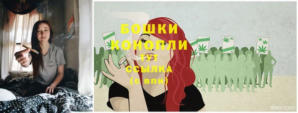 дурь Верея