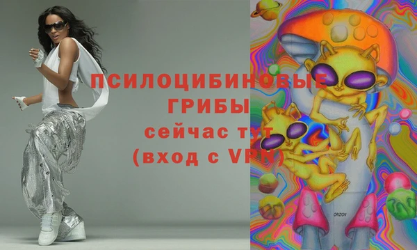 марки lsd Бородино